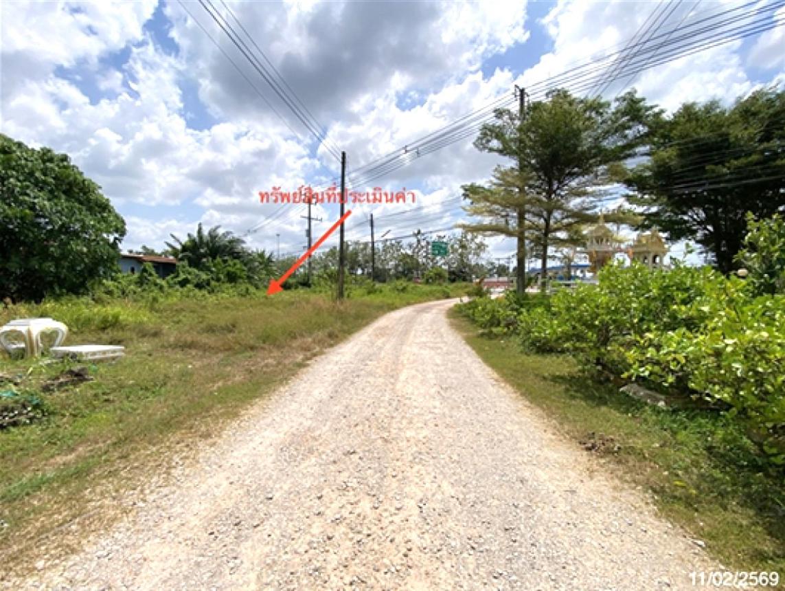 รูป ที่ดินว่างเปล่า 164 ตร.วา ควนขนุน พัทลุง 3M - รูปที่ 9/14