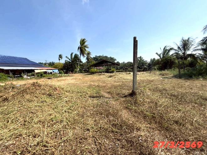 picture FACTORY 3056 Sq.w. Chaiya Surat Thani for 1.6M - 8/22