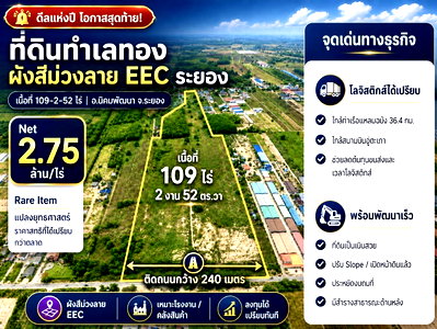 Land for sale Nikhom Pattana Rayong : 109 Rai Purple Zone EEC Industrial Land for Sale in Rayong – 240m Road Frontage
