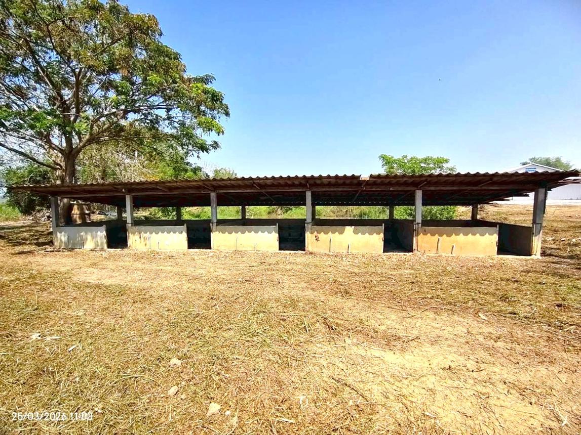 picture FACTORY 8576 Sq.w. Phan Chiang Rai for 7.9M - 26/42