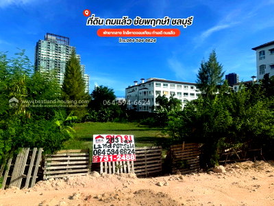 ที่ดิน บางละมุง ชลบุรี : ขายที่ดิน ถมแล้ว 283 ตรว. ซอยชัยพฤกษ์1 (แยกชัยพฤกษ์) พัทยากลาง ใกล้หาดจอมเทียน ทำเลดี