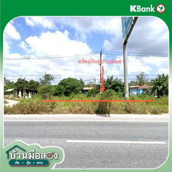 รูป ที่ดินว่างเปล่า 164 ตร.วา ควนขนุน พัทลุง 3M - รูปที่ 12/14