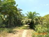 listing thumbnail image 19