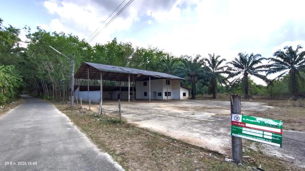 picture FACTORY 1620.3 Sq.w. Huai Yot Trang for 4.8M - 31/34