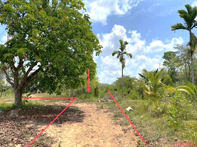 picture LAND 758.6 Sq.w. Muang Phatthalung Phatthalung for 2.9M - 4/20