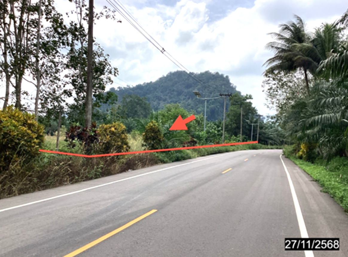 picture LAND 4000 Sq.w. Lang Suan Chumphon for 6.5M - 12/24