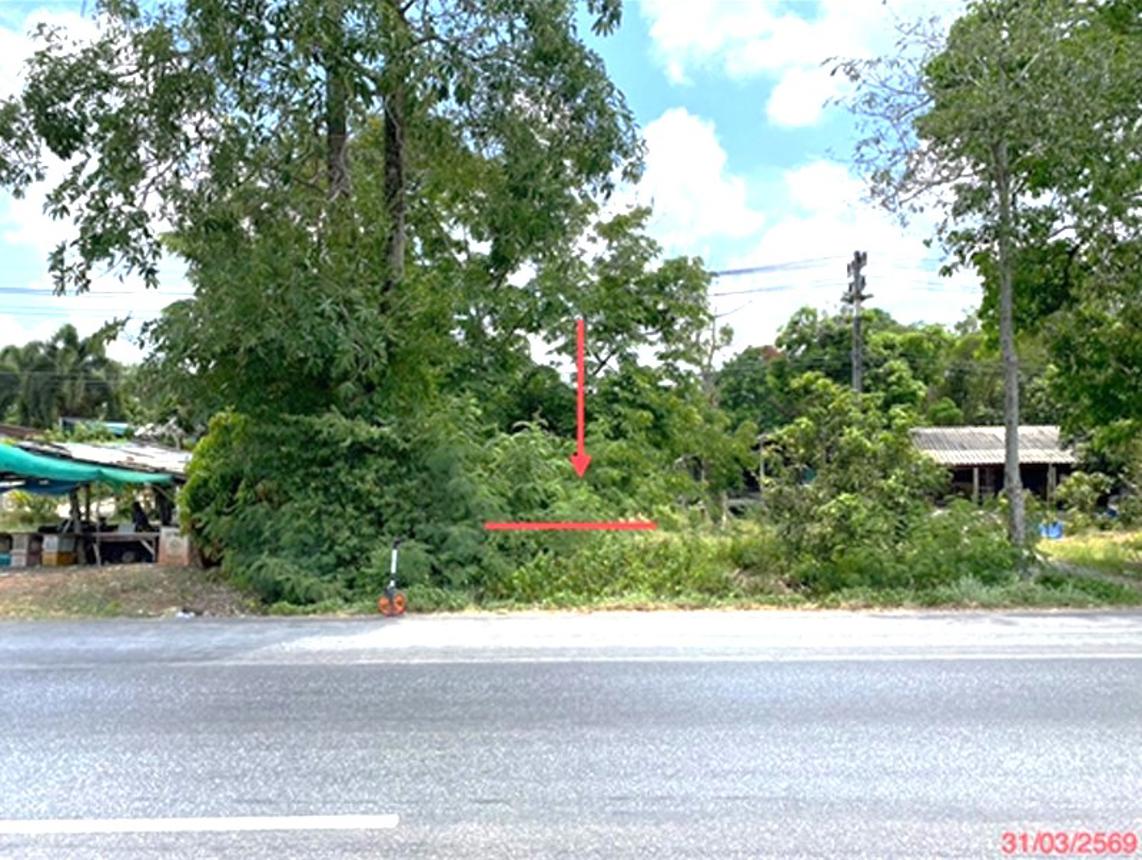 picture LAND 758.6 Sq.w. Muang Phatthalung Phatthalung for 2.9M - 10/20