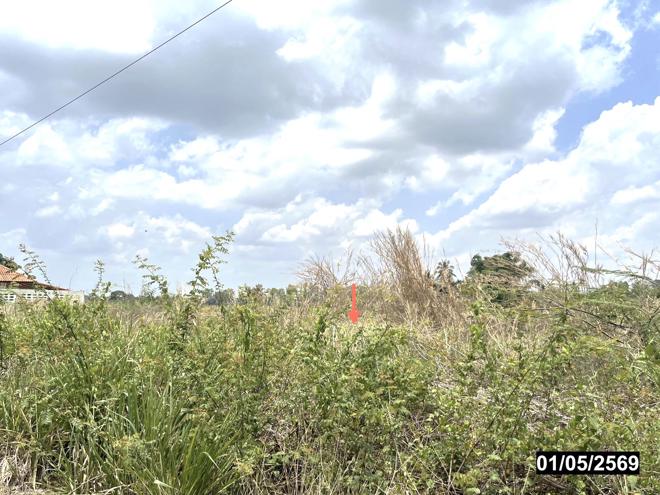 picture LAND 335 Sq.w. Muang Nong Khai Nongkai for 1.3M - 4/14