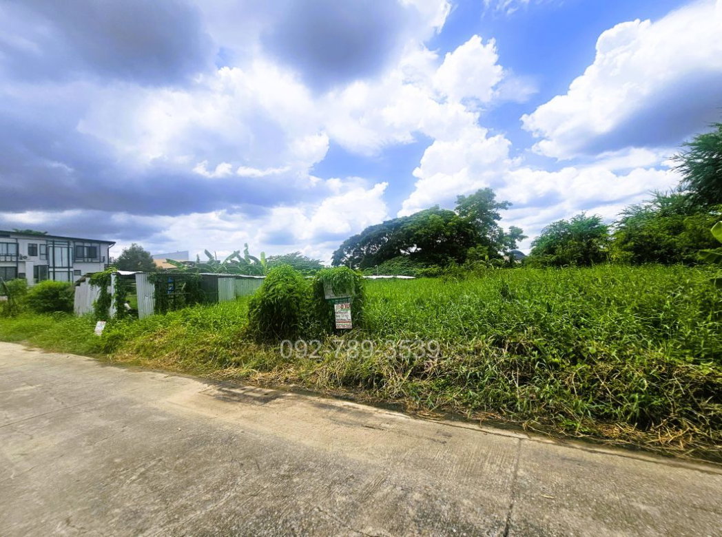 รูป ขายที่ดินรามอินทรา 5 แยก 13 ขนาด 201 ตร.วา ใกล้เซ็นทรัลรามอินทรา รถไฟฟ้าสายสีชมพู สถานีรามอินทรา3 - รูปที่ 3/14