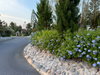 listing thumbnail image 60