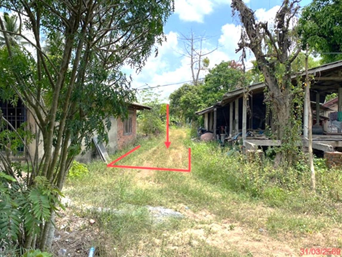 picture LAND 758.6 Sq.w. Muang Phatthalung Phatthalung for 2.9M - 11/20