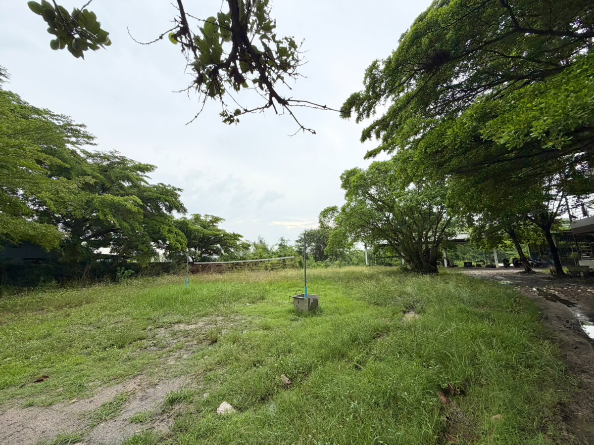 รูป ที่ดิน แถมห้องพักคนงาน ออฟฟิศ ใกล้นิคมอมตะนคร เฟส 10 ทางด่วน มอเตอร์เวย์ คุ้มมากๆ สะดวก ซอยมาบโป่ง 10 เข้าออกได้หลายทาง - รูปที่ 8/16