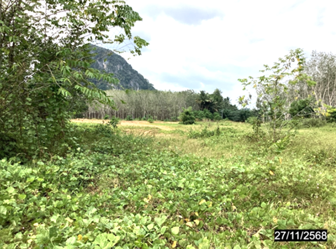 picture LAND 4000 Sq.w. Lang Suan Chumphon for 6.5M - 7/24