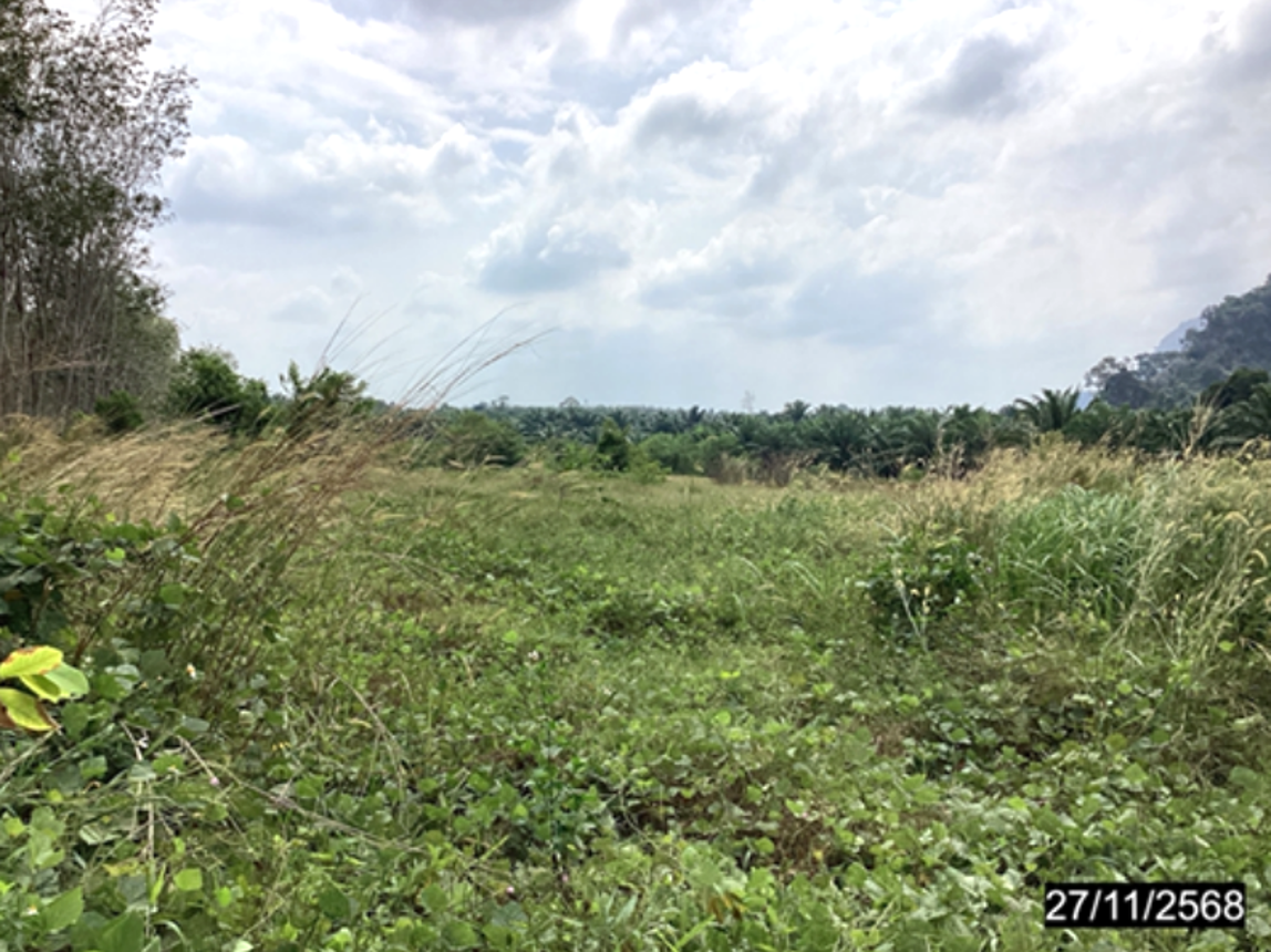 picture LAND 4000 Sq.w. Lang Suan Chumphon for 6.5M - 15/24