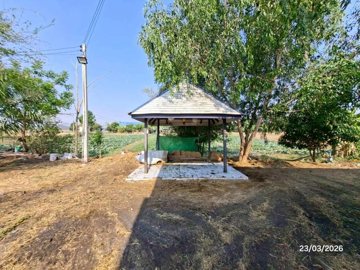 picture OFFICE 2873 Sq.w. Muang Ratchaburi Ratchburi for 9.4M - 25/38