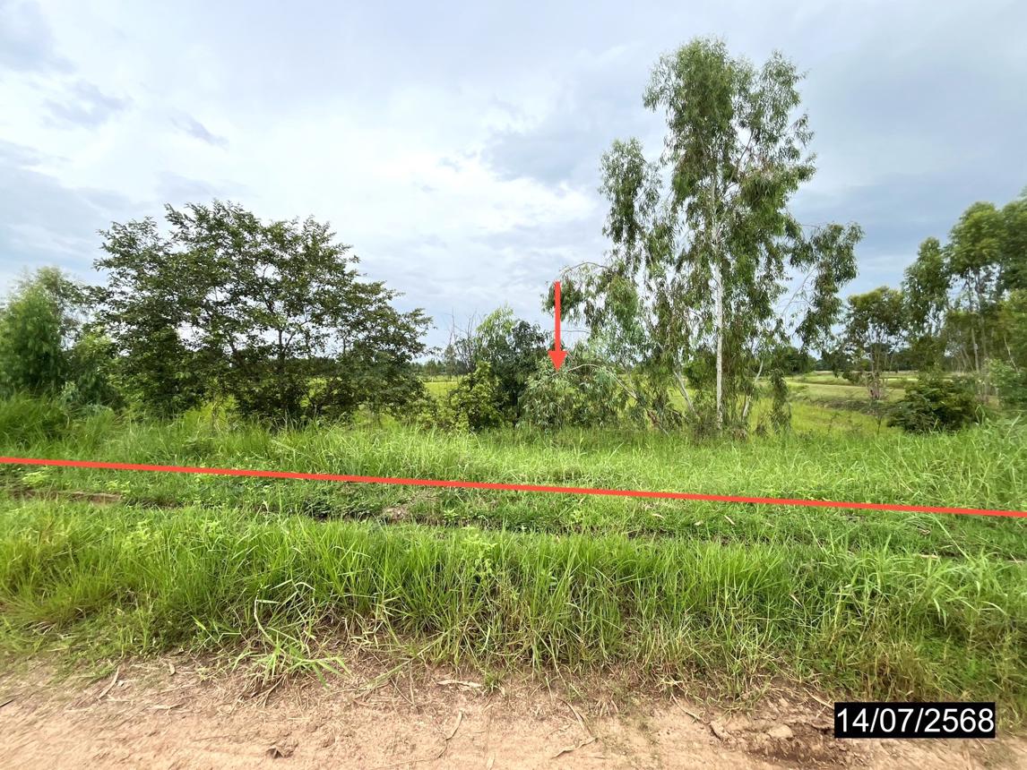 รูป ที่ดินว่างเปล่า 2738 ตร.วา กมลาไสย กาฬสินธุ์ 954,000 - รูปที่ 8/18