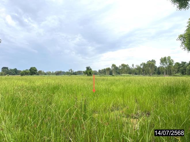 รูป ที่ดินว่างเปล่า 2738 ตร.วา กมลาไสย กาฬสินธุ์ 954,000 - รูปที่ 6/18