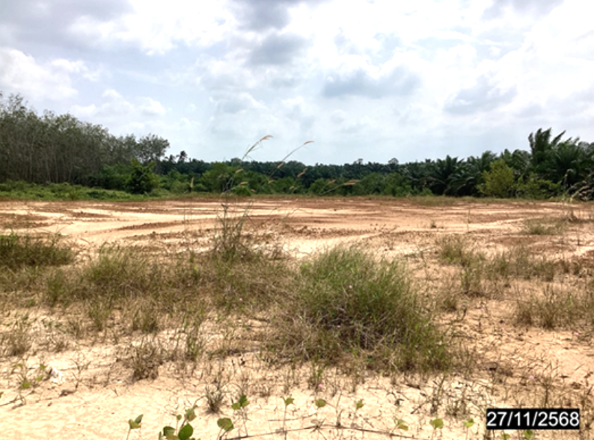picture LAND 4000 Sq.w. Lang Suan Chumphon for 6.5M - 20/24