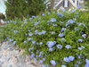 listing thumbnail image 59
