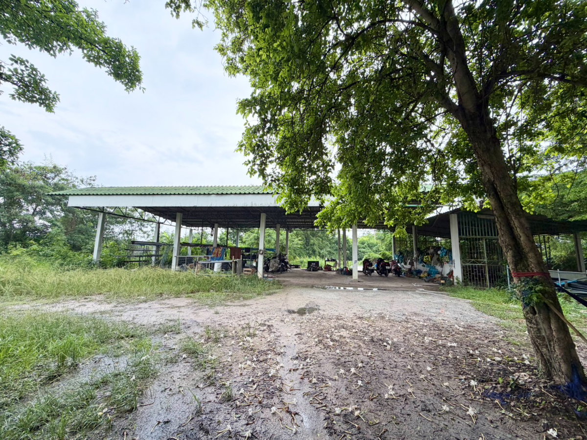 รูป ที่ดิน แถมห้องพักคนงาน ออฟฟิศ ใกล้นิคมอมตะนคร เฟส 10 ทางด่วน มอเตอร์เวย์ คุ้มมากๆ สะดวก ซอยมาบโป่ง 10 เข้าออกได้หลายทาง - รูปที่ 12/16