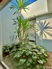 listing thumbnail image 11