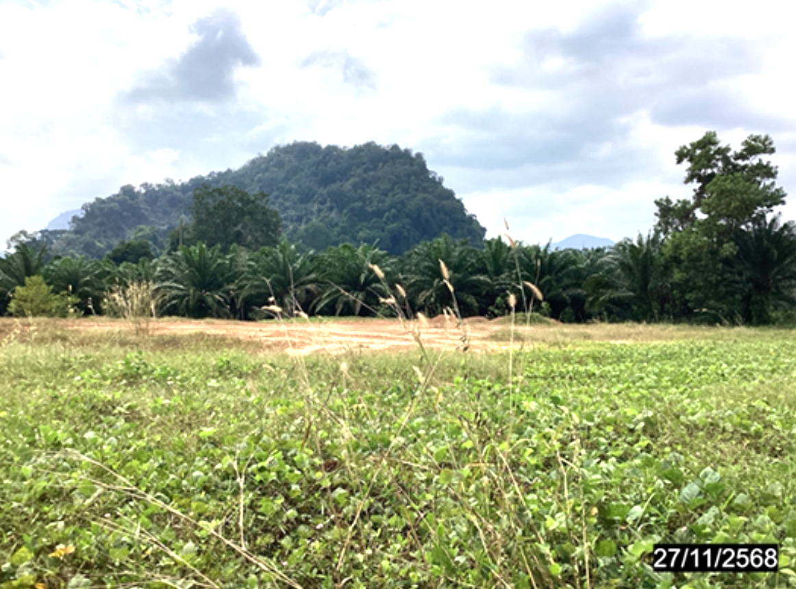 picture LAND 4000 Sq.w. Lang Suan Chumphon for 6.5M - 16/24