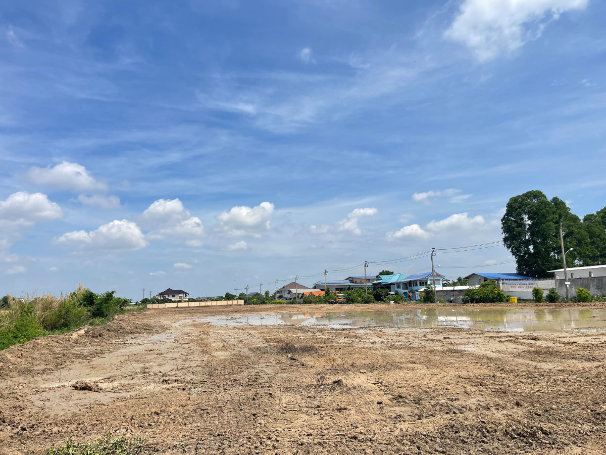 รูป ขายที่ดินศักยภาพ ทำเลบางพลี – ลาดกระบัง เหมาะพัฒนาโกดัง • โรงงาน • ลานตู้ • ศูนย์กระจายสินค้า • ปั๊มน้ำมัน • โครงการเชิงพาณิชย์ - รูปที่ 5/5
