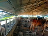 listing thumbnail image 25