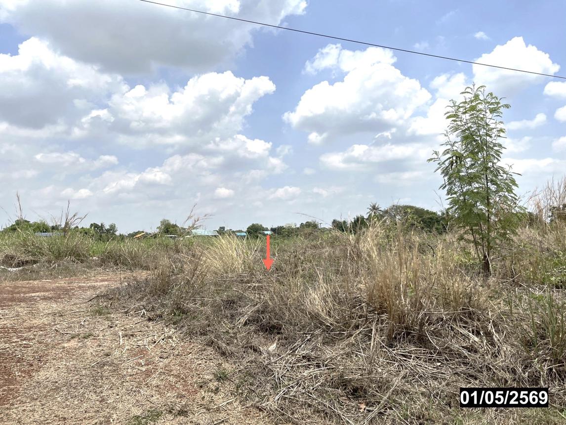 picture LAND 335 Sq.w. Muang Nong Khai Nongkai for 1.3M - 10/14