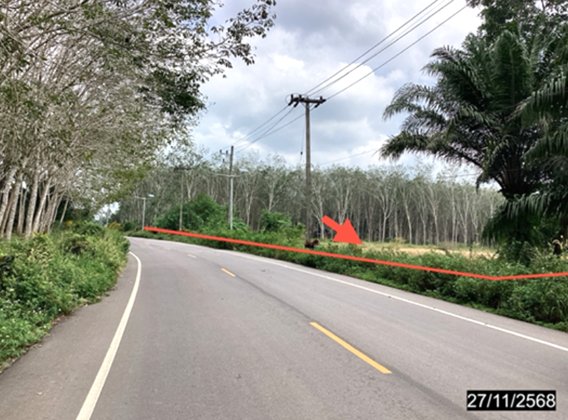 picture LAND 4000 Sq.w. Lang Suan Chumphon for 6.5M - 11/24