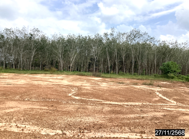 picture LAND 4000 Sq.w. Lang Suan Chumphon for 6.5M - 9/24