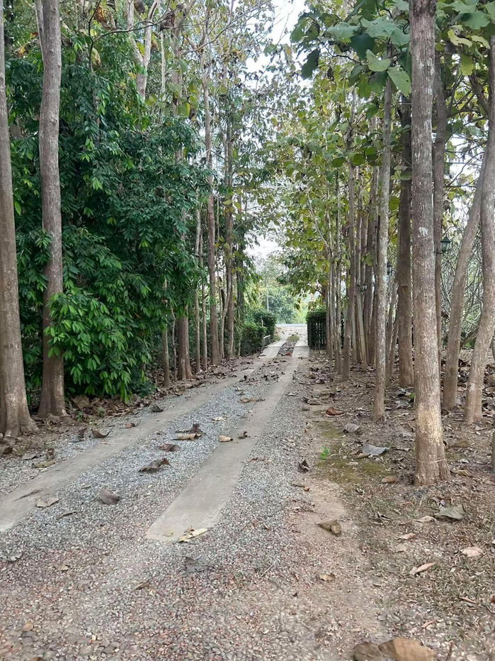 รูป ขายหรือเช่า ที่ดิน 17.68 ไร่ ทำเลทอง ติดถนนสายหลัก หมายเลข 323 ทองผาภูมิ - รูปที่ 9/10