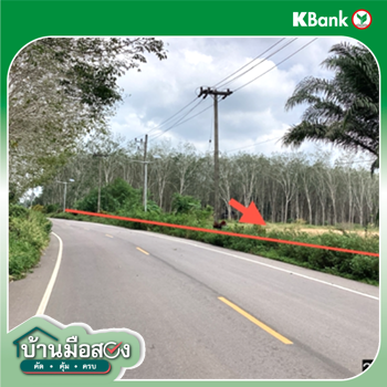 picture LAND 4000 Sq.w. Lang Suan Chumphon for 6.5M - 22/24