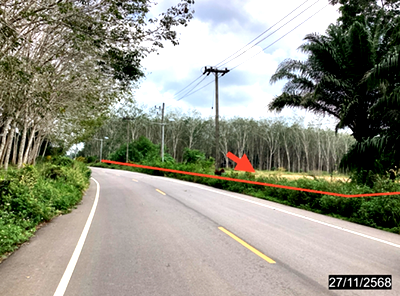 Land for sale Lang Suan Chumphon : LAND 4000 Sq.w. Lang Suan Chumphon for 6.5M