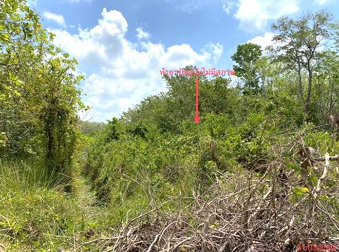 picture LAND 758.6 Sq.w. Muang Phatthalung Phatthalung for 2.9M - 7/20