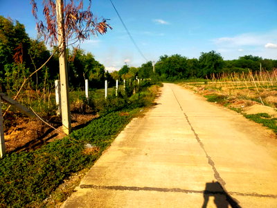 Land for sale Song Phi Nong Suphanburi : 🟢 For sale: Newly built chicken farm on 85 rai of land, Song Phi Nong District, Suphan Buri Province. Includes a large chicken farm (CV999)
