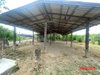 listing thumbnail image 42