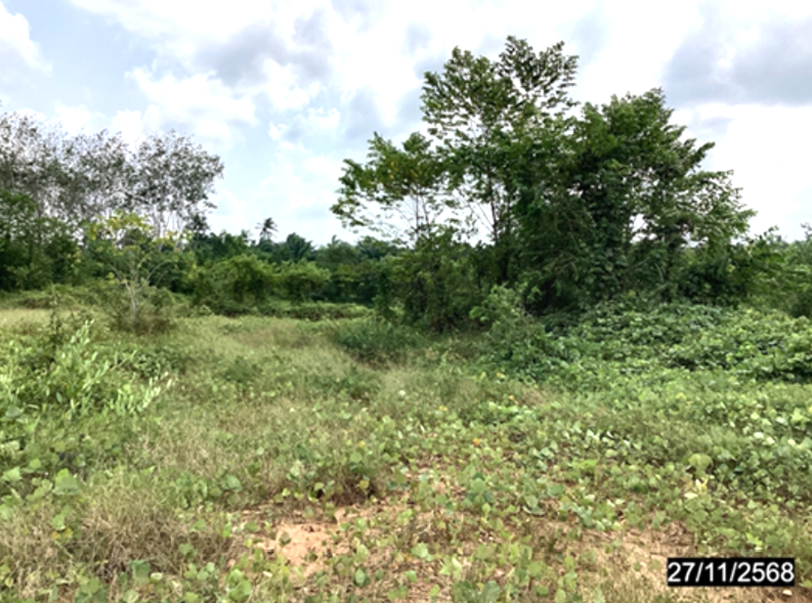 picture LAND 4000 Sq.w. Lang Suan Chumphon for 6.5M - 18/24