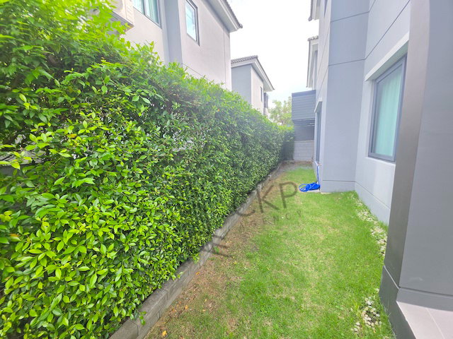 รูป ขาย บ้านเดี่ยว เซนโทร บางนา-กิ่งแก้ว ทำเลดี ใกล้ตลาดกิ่งแก้ว แม็คโคร มาร์เก็ตวิลเลจ เมกาบางนา และเซ็นทรัล วิลเลจ | รหัส 93385 - รูปที่ 7/23
