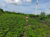 listing thumbnail image 6