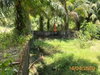 listing thumbnail image 38