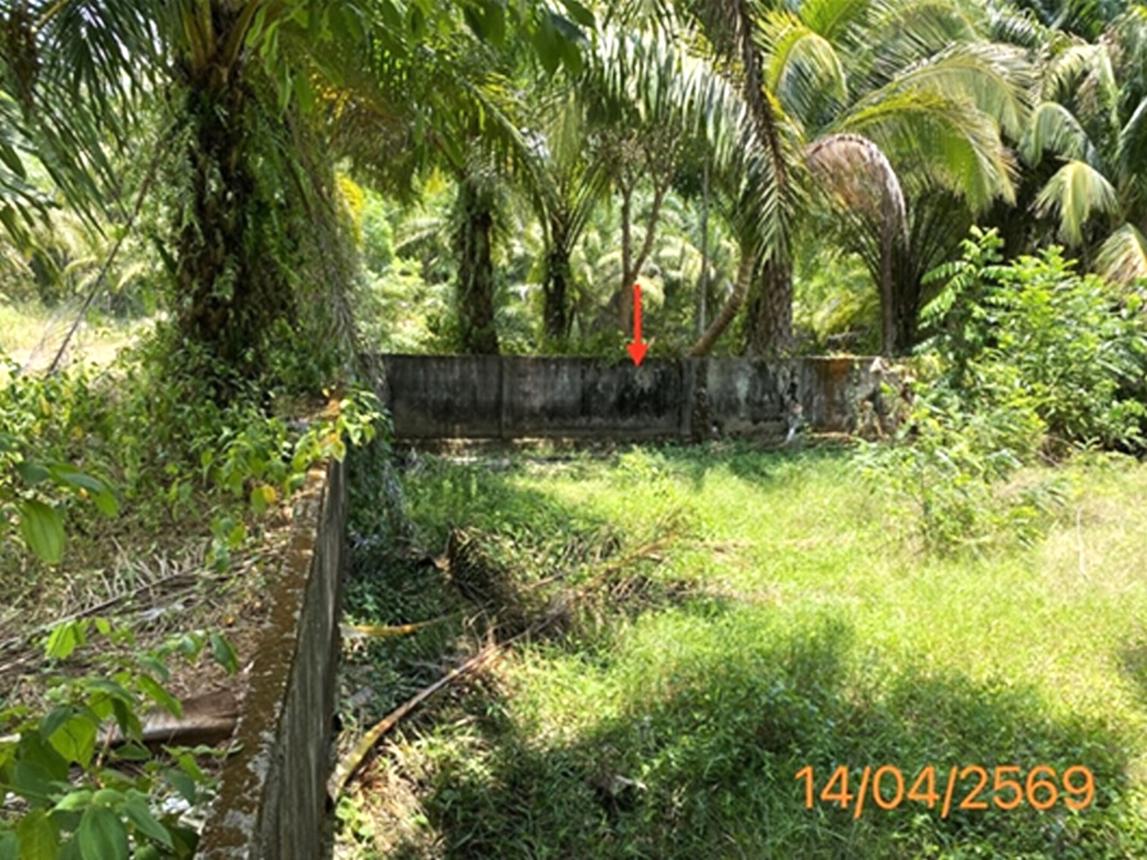 picture HOME 2394 Sq.w. Khura Buri Phangnga for 2.9M - 39/44