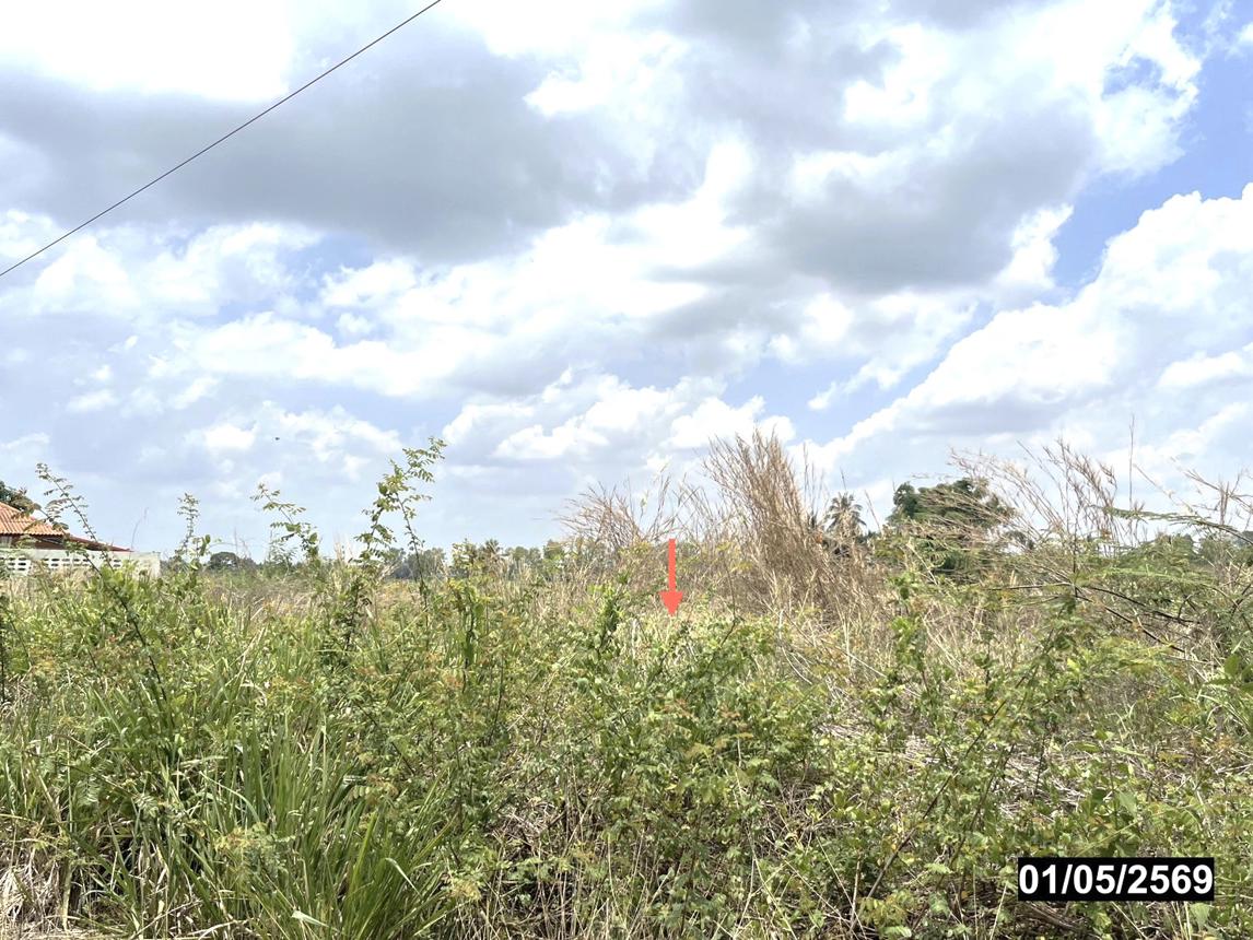 picture LAND 335 Sq.w. Muang Nong Khai Nongkai for 1.3M - 9/14