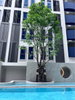 listing thumbnail image 10