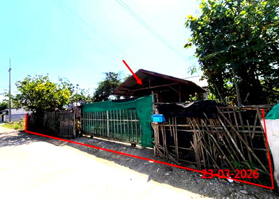 บ้านเดี่ยว ลำพูน : บ้านเดี่ยว 84 ตร.วา ป่าซาง ลำพูน 1.3M