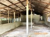 listing thumbnail image 34
