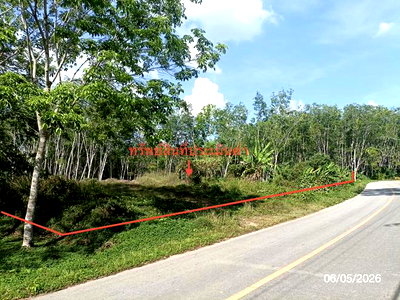 Land for sale Huai Yot Trang : LAND 3226.4 Sq.w. Huai Yot Trang for 2.4M