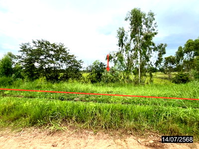 ขายที่ดิน : ที่ดินว่างเปล่า 2738 ตร.วา กมลาไสย กาฬสินธุ์ 954,000