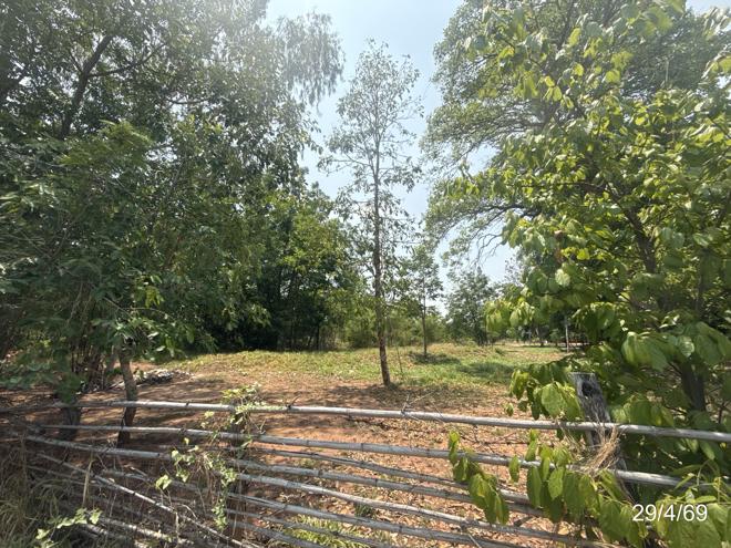 รูป ที่ดินว่างเปล่า 2000 ตร.วา เมืองขอนแก่น ขอนแก่น 3M - รูปที่ 5/16