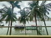 listing thumbnail image 15